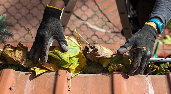 gutter cleaning